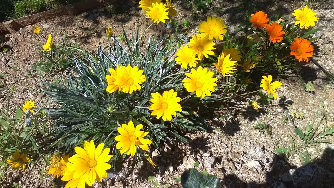 Villa La Croisette Sainte-Maxime Esterno foto